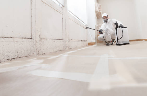 24/7 Emergency Mold Remediation experts in East Port Orchard, WA