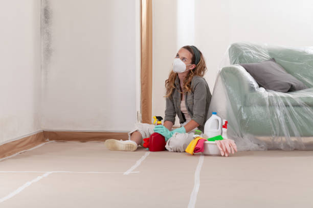 Reliable Mold Remediation contractor in East Port Orchard, WA by 24 Hour Mold Removal